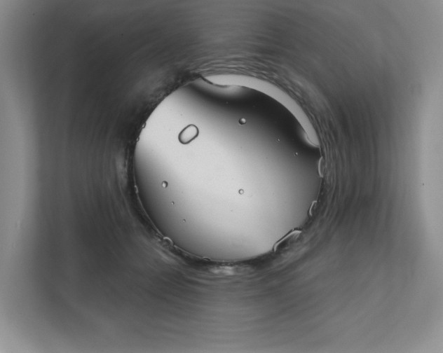 X0000111420558200907271145