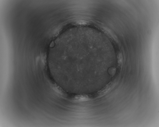 X0000111420559200907271145