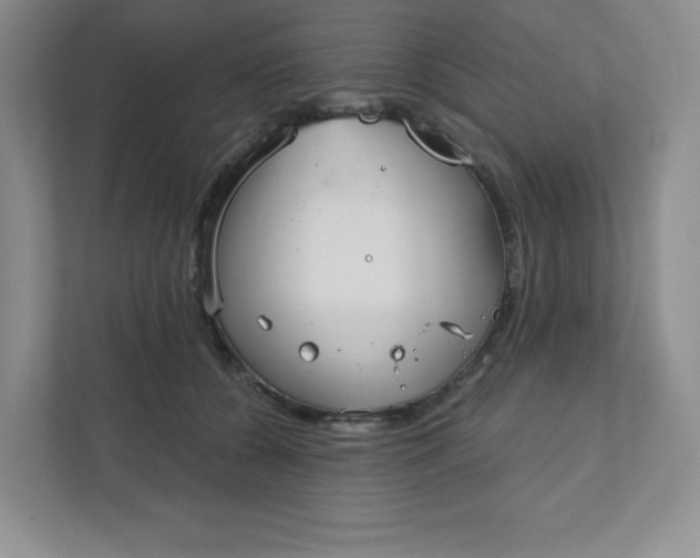 X0000111420560200907271145