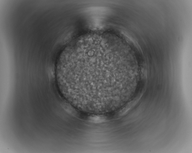 X0000111420561200907271145