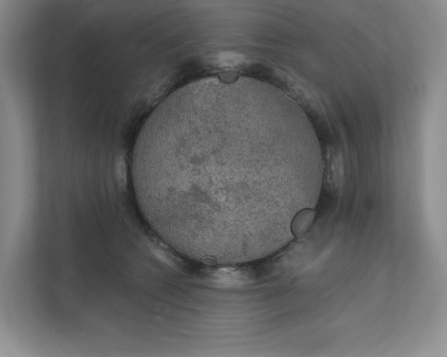 X0000111420562200907271145