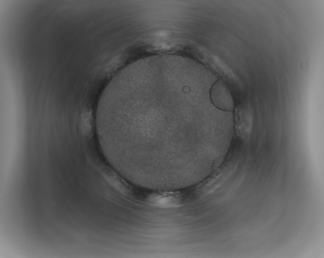 X0000111420563200907271145