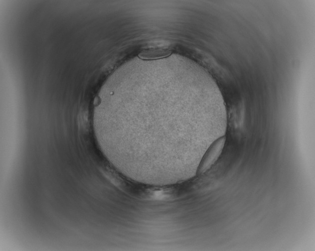 X0000111420564200907271145