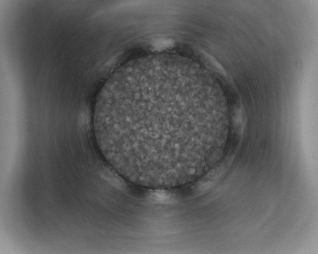 X0000111420565200907271145