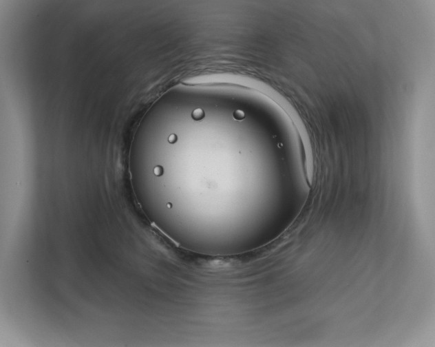 X0000111420566200907271145