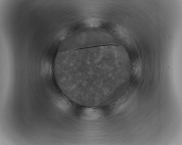 X0000111420568200907271145