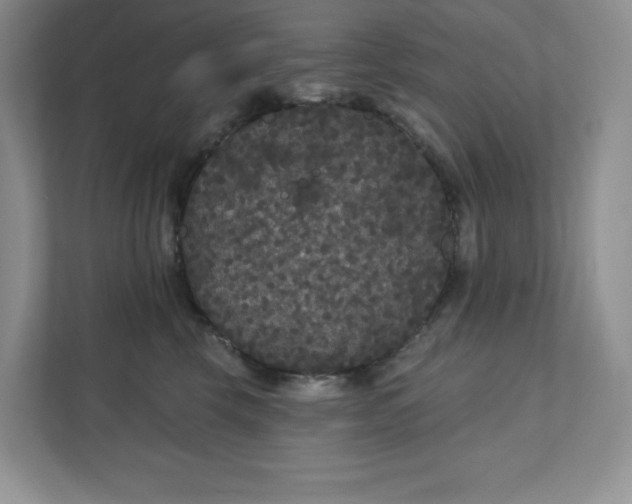 X0000111420569200907271145