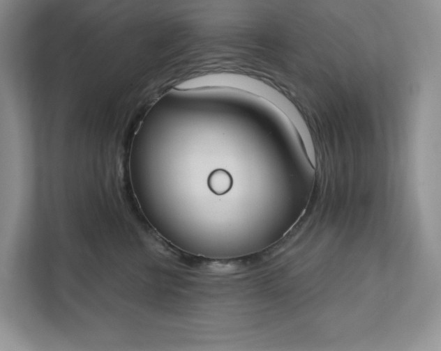 X0000111420570200907271145