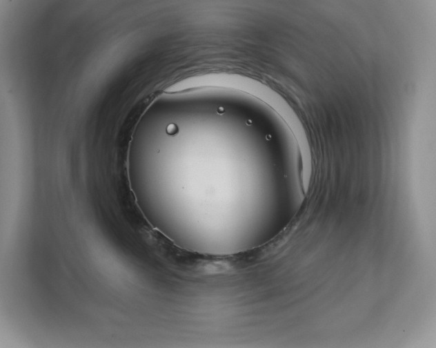 X0000111420572200907271145