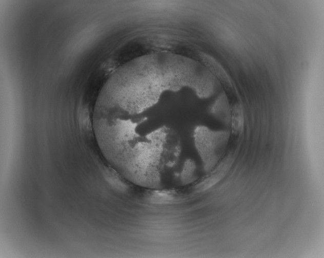 X0000111420573200907271146