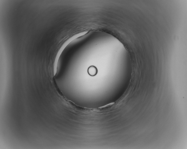 X0000111420576200907271146