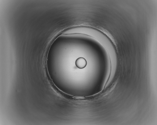 X0000111420577200907271145