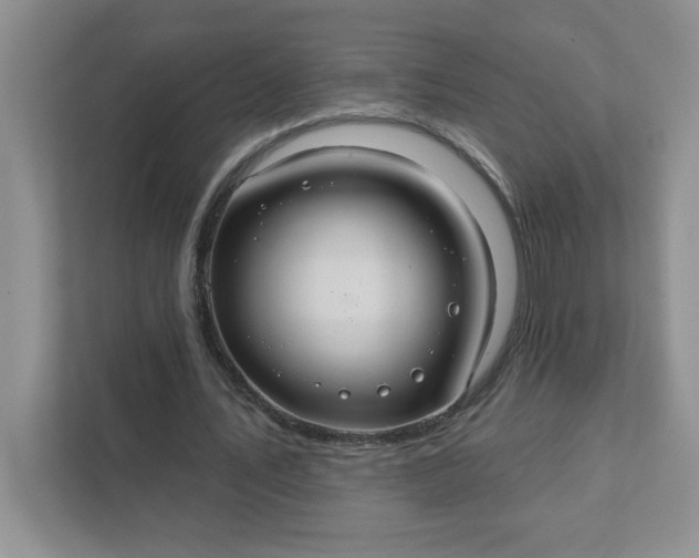 X0000111420579200907271145