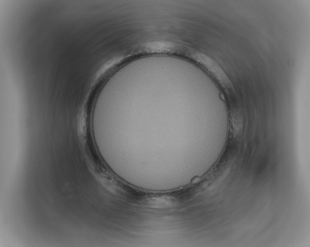 X0000111420583200907271145