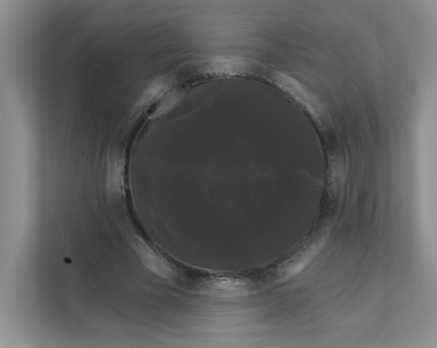 X0000111420585200907271145