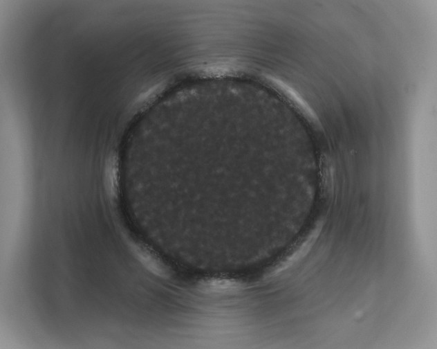 X0000111420590200907271145