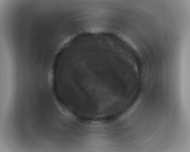 X0000111420592200907271145