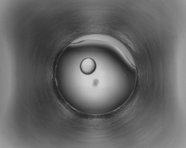 X0000111420593200907271145