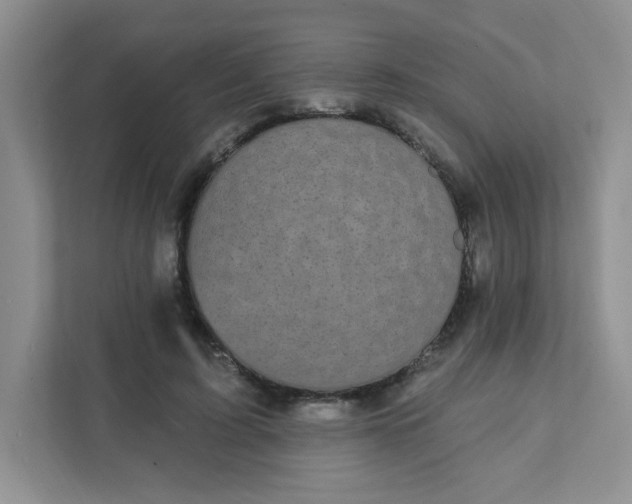 X0000111420595200907271145