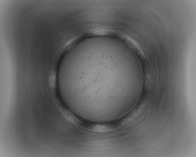 X0000111420596200907271145