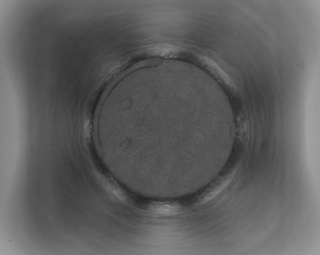 X0000111420597200907271145