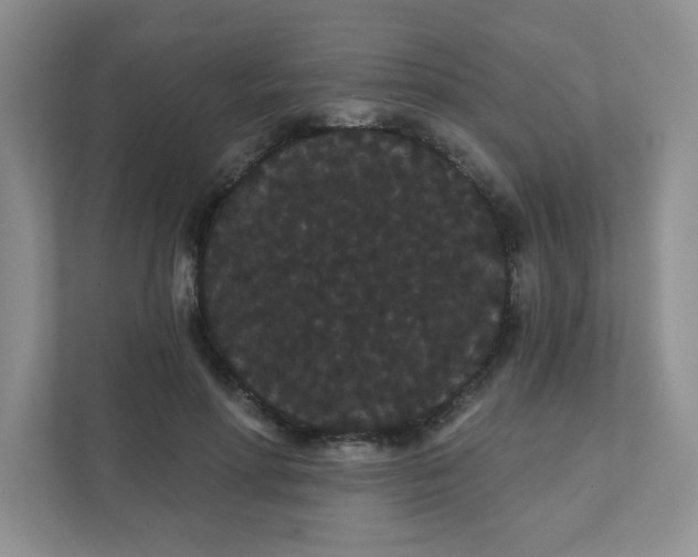 X0000111420598200907271145