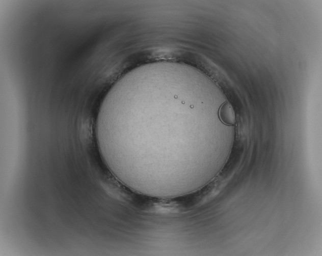 X0000111420603200907271145