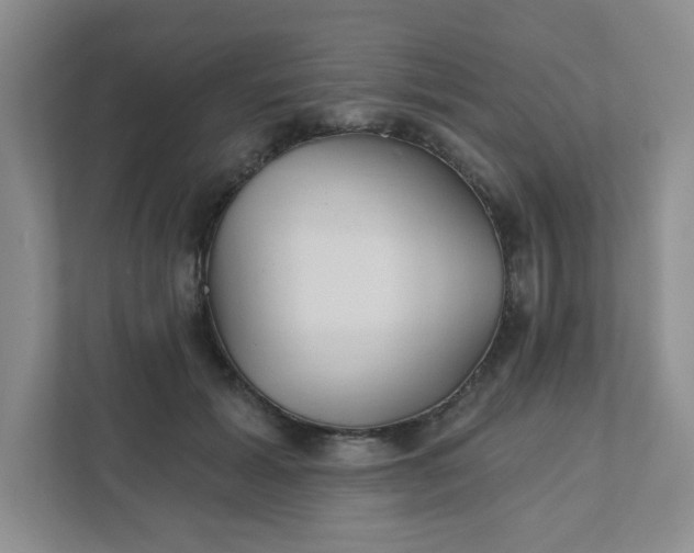 X0000111420605200907271145