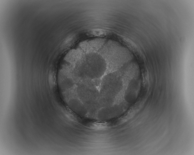 X0000111420606200907271145