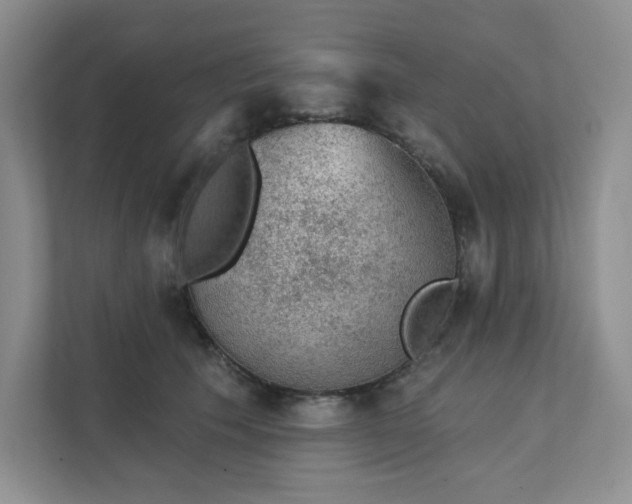 X0000111420609200907271145