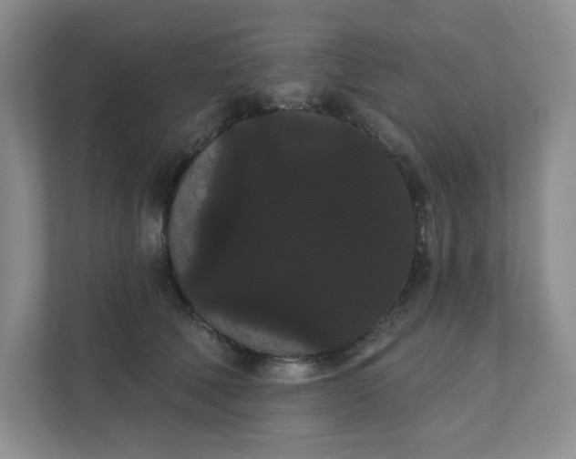 X0000111420610200907271144