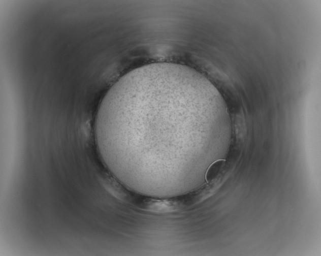 X0000111420611200907271144