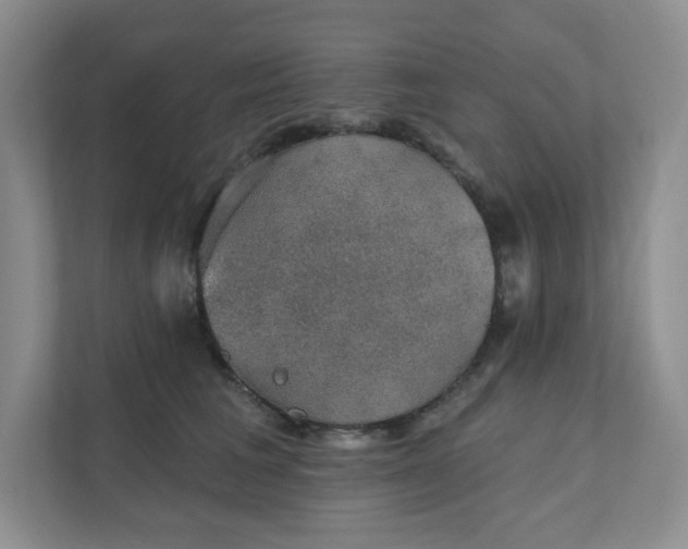 X0000111420613200907271144