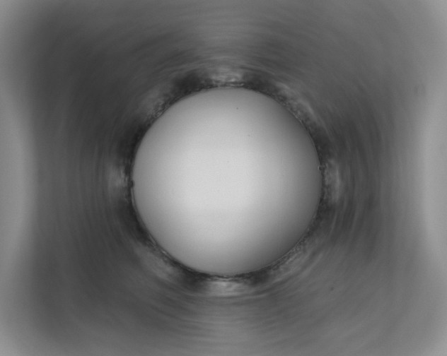 X0000111420614200907271144