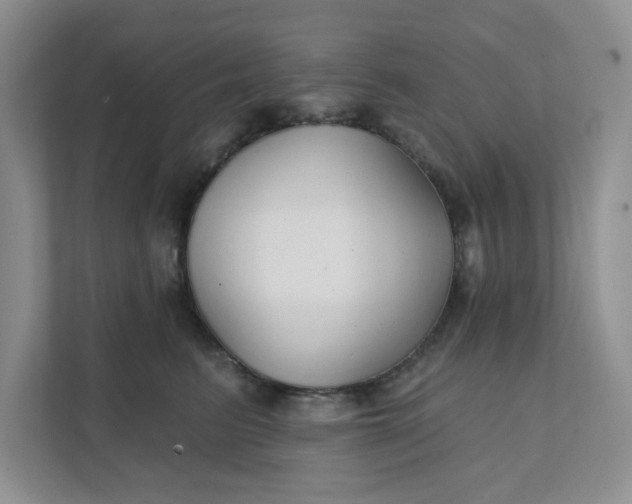 X0000111420615200907271144