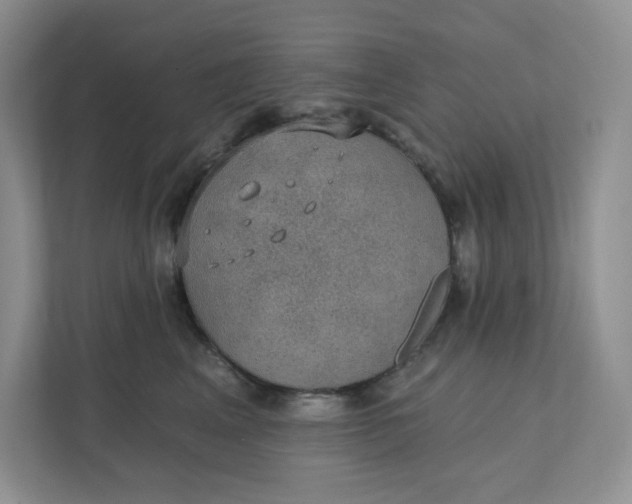 X0000111420617200907271144