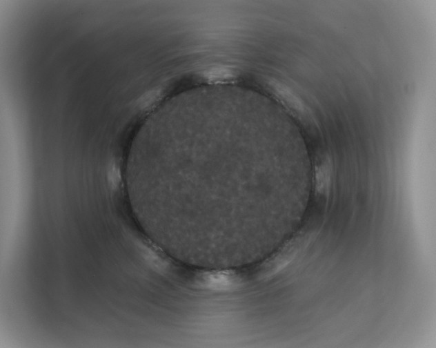 X0000111420618200907271144