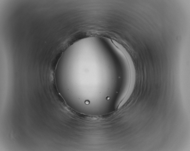 X0000111420621200907271144