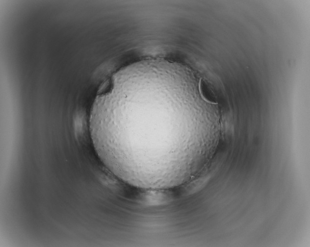 X0000111420623200907271144