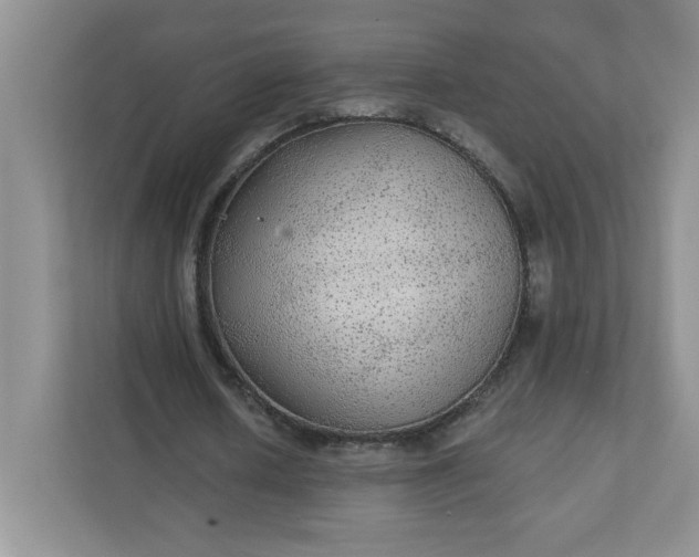 X0000111420626200907271144