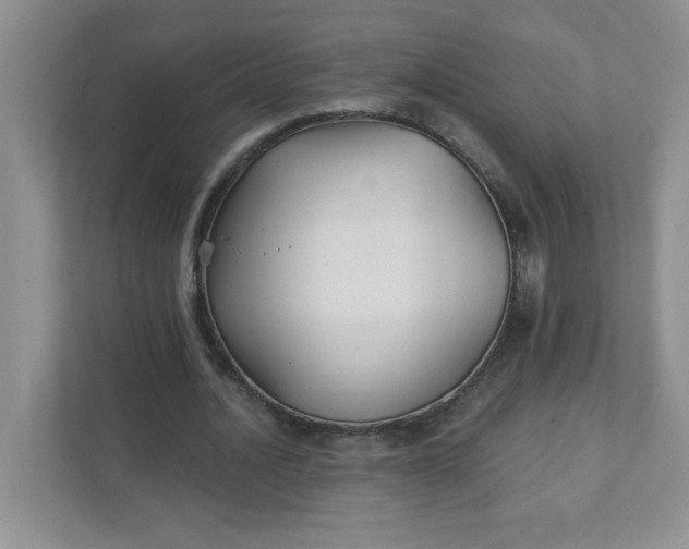 X0000111420628200907271144