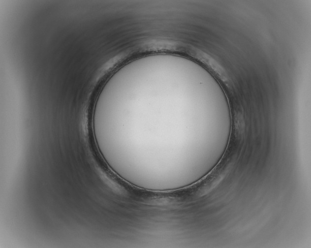 X0000111420629200907271144