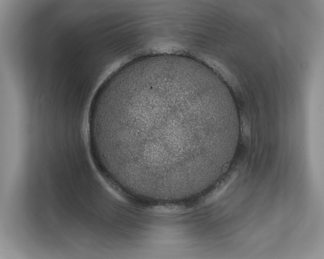 X0000111420630200907271144