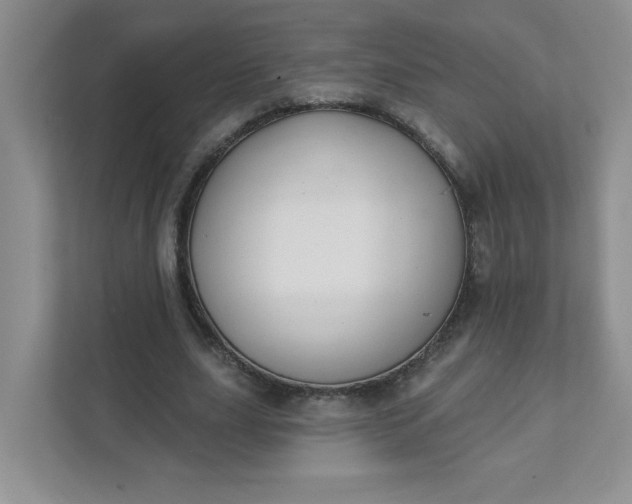 X0000111420631200907271144