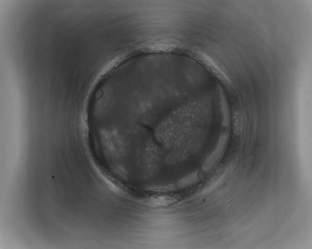 X0000111420634200907271144