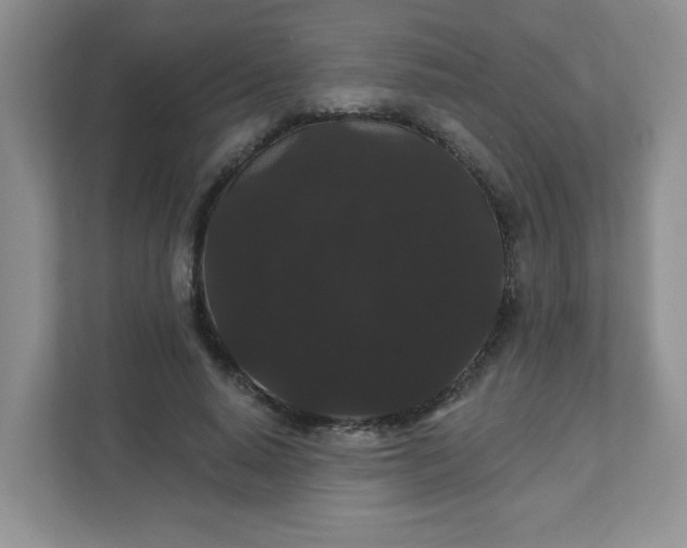 X0000111420640200907271144