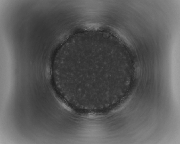 X0000111420641200907271144