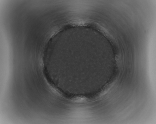 X0000111420642200907271144