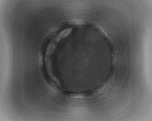 X0000111420643200907271144