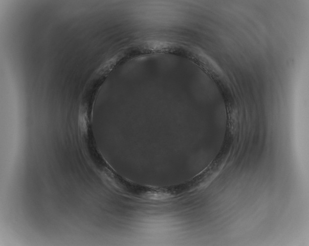 X0000111420644200907271144